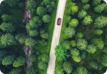 Pohled zhora na automobil projíždějící lesem